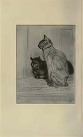 Theophile Steinlen two cats 1914 Art A4 Photo Print