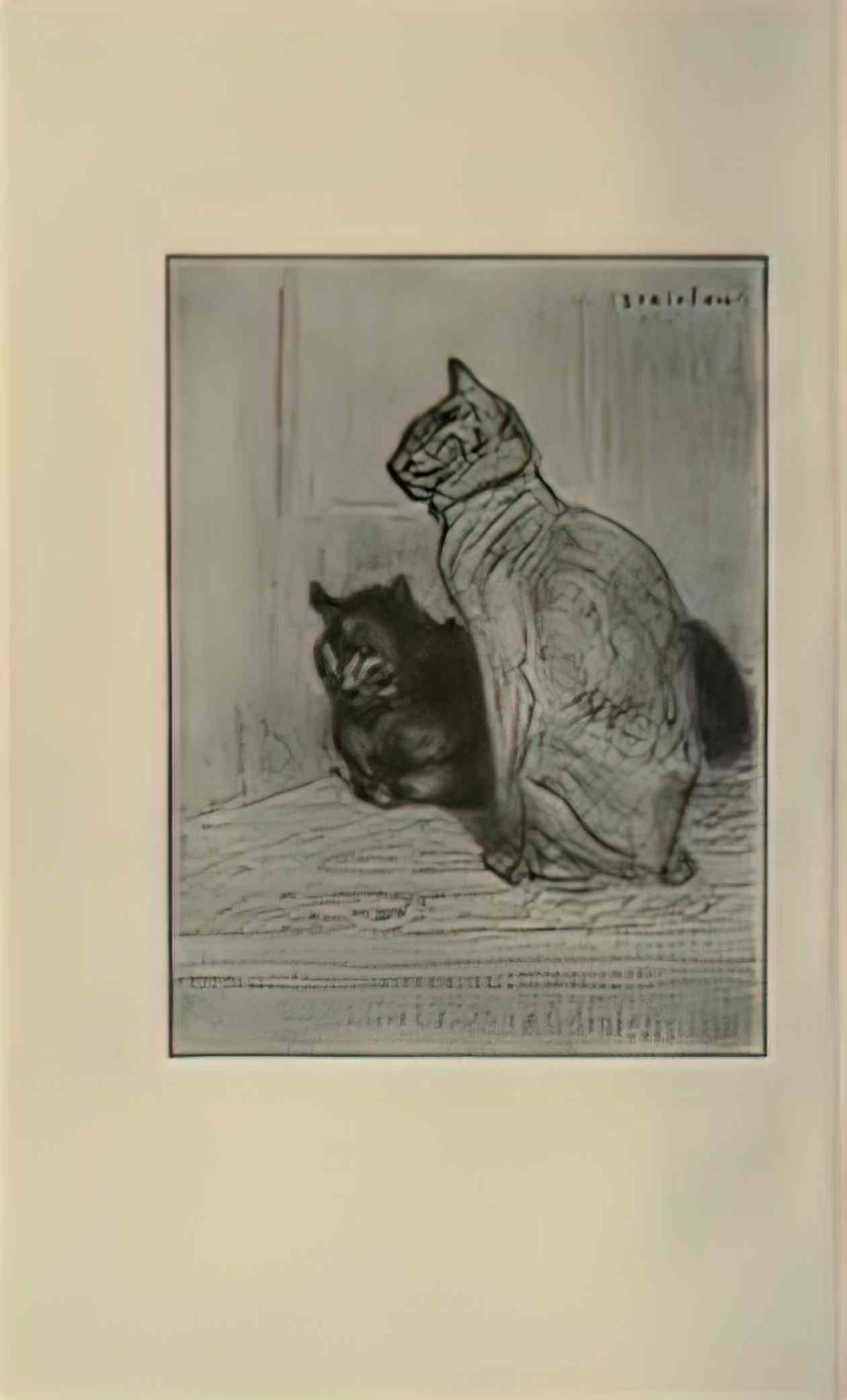 Theophile Steinlen two cats 1914 Art A4 Photo Print