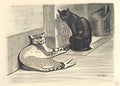 Theophile Steinlen two cats 2 Art A4 Photo Print
