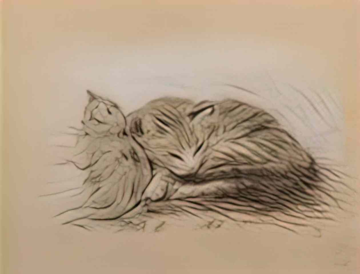 Theophile Steinlen two cats deux chats Art A4 Photo Print