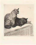Theophile Steinlen two sitting cats Art A4 Photo Print