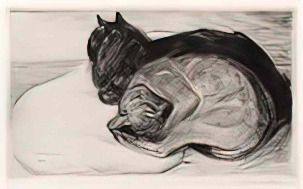 Theophile Steinlen two sleeping cats 1914 Art A4 Photo Print