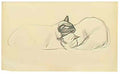 Theophile Steinlen two sleeping cats Art A4 Photo Print