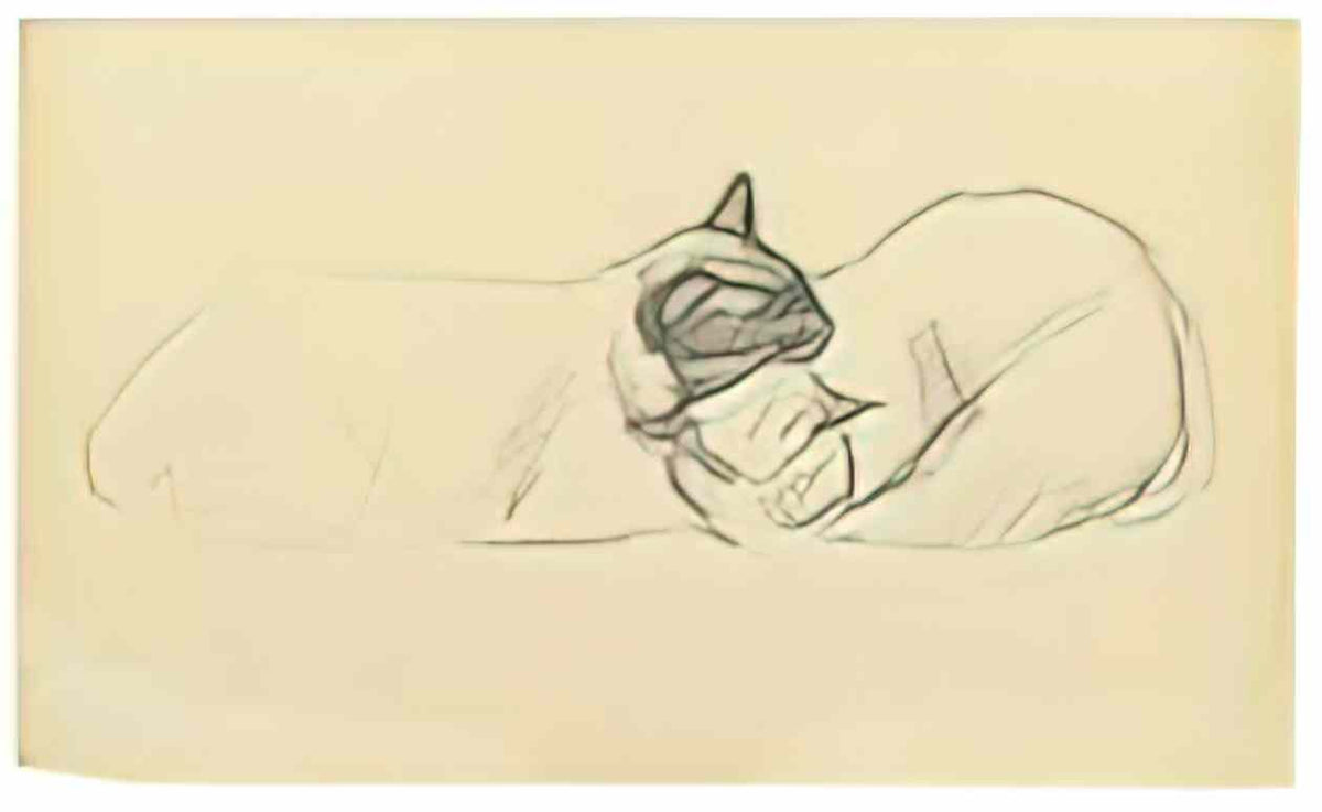 Theophile Steinlen two sleeping cats Art A4 Photo Print