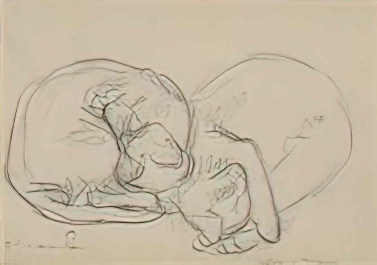 Theophile Steinlen two sleeping cats deux chats endormis Art A4 Photo Print