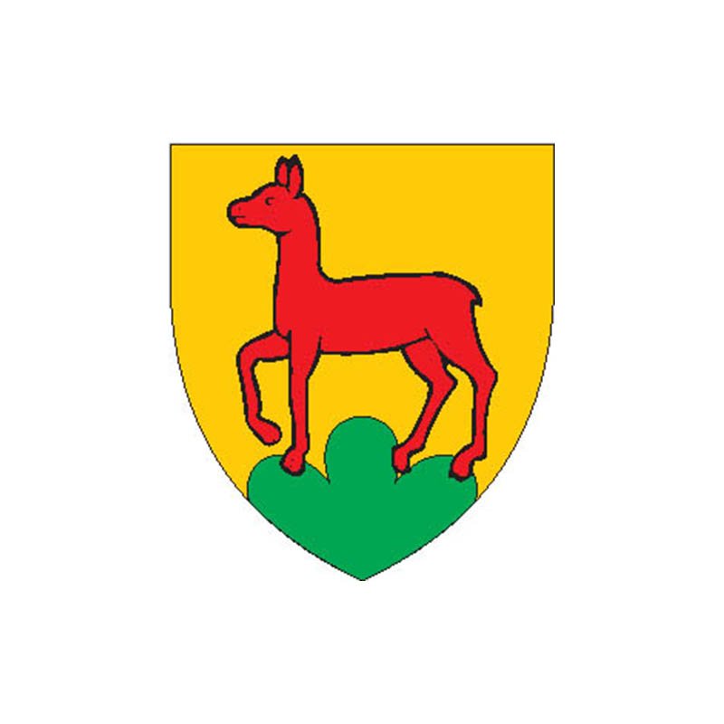 Thierstein Dist Coat Of Arms N4311 A4 Photo Print