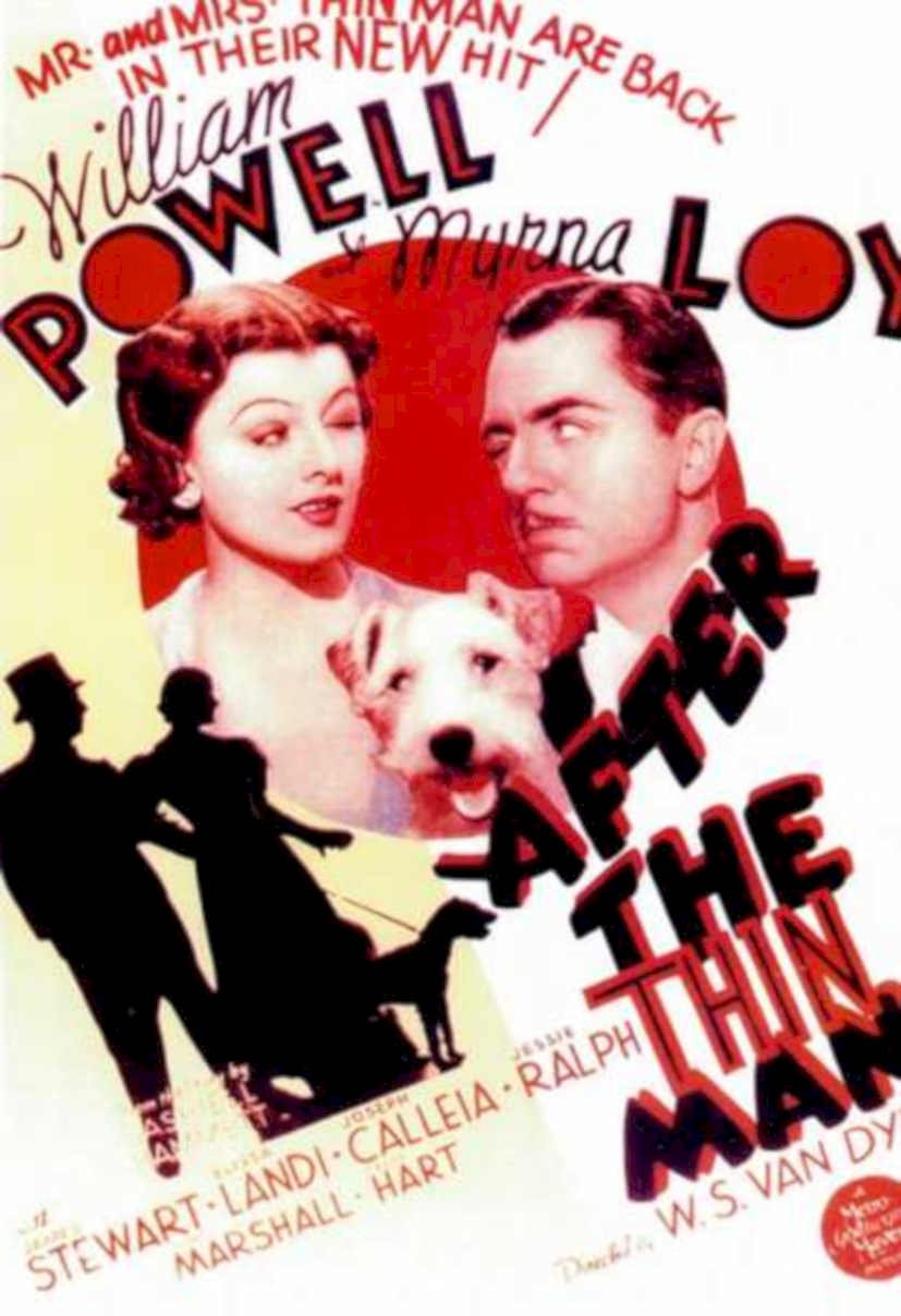 Thin Man Poster Vintage Retro Advert Ads A4 Photo Print