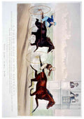 Third Heat Horse A4 Photo Print