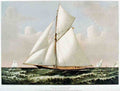 Thistle 2 Ship Vintage A4 Photo Print