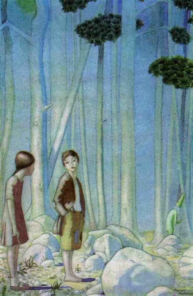 Thomas Mackenzie Page 46 Fairy Art Vintage Illustration A4 Photo Print