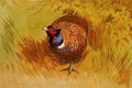 Thorburn Archibald A Cock Pheasant A4 Photo Print