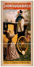 Thoroughbred Wagon Eyes Vintage Retro Advert Poster A4 Photo Print