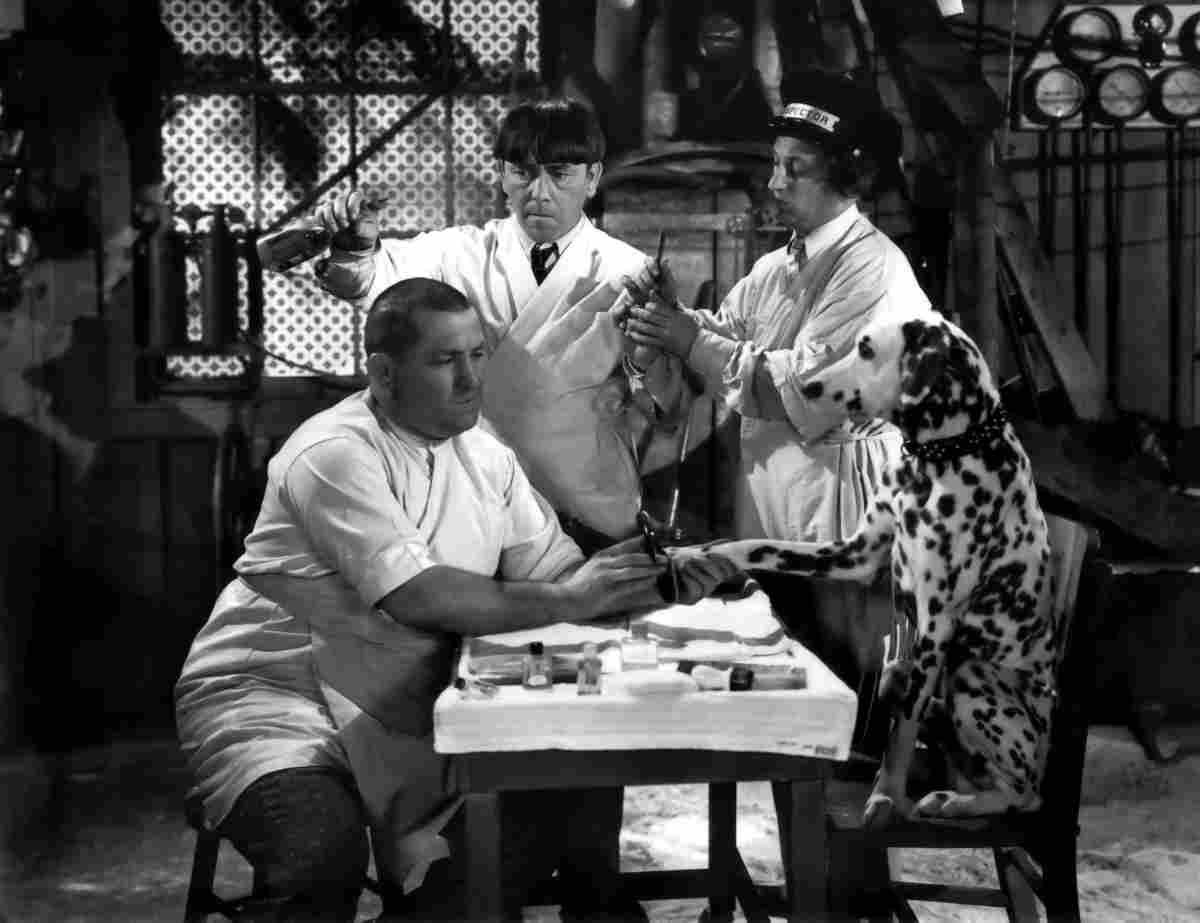 Three Stooges The Mutts to You 1 film star poster A4 Photo Print