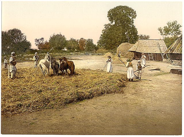 Threshing grain Bosnia Vintage A4 Photo Print