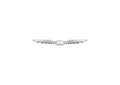 Thunderbird A4 Photo Print
