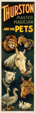 Thurston Pets Magic Magician Vintage A4 Photo Print