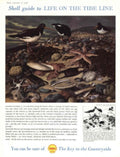 Tide Line Shellguide 1950s Vintage Retro Advert Poster