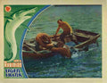  Tiger Shark 05 film star poster A4 Photo Print