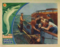  Tiger Shark 07 film star poster A4 Photo Print