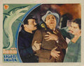  Tiger Shark 08 film star poster A4 Photo Print