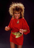 Tina Turner 3 A4 Photo Print