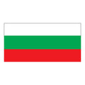 Tisaleo Canton Flag N6118 A4 Photo Print