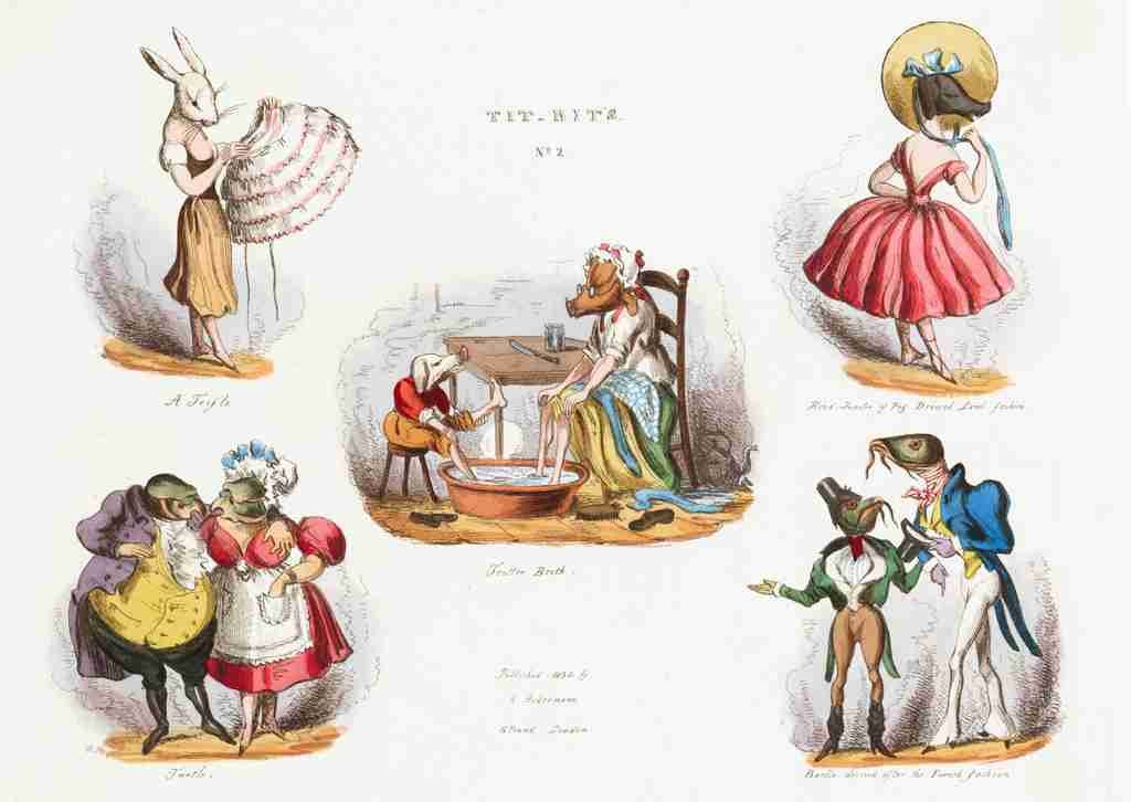 Titbits 1830b Cartoon Joke 001 Vintage A4 Photo Print