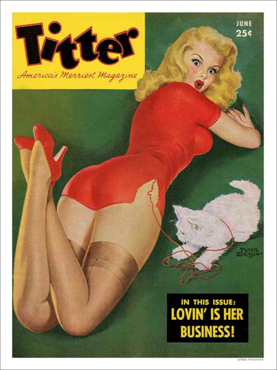 Titter Girl Pin Up With Pussy Vintage Retro Advert Poster A4 Photo Print