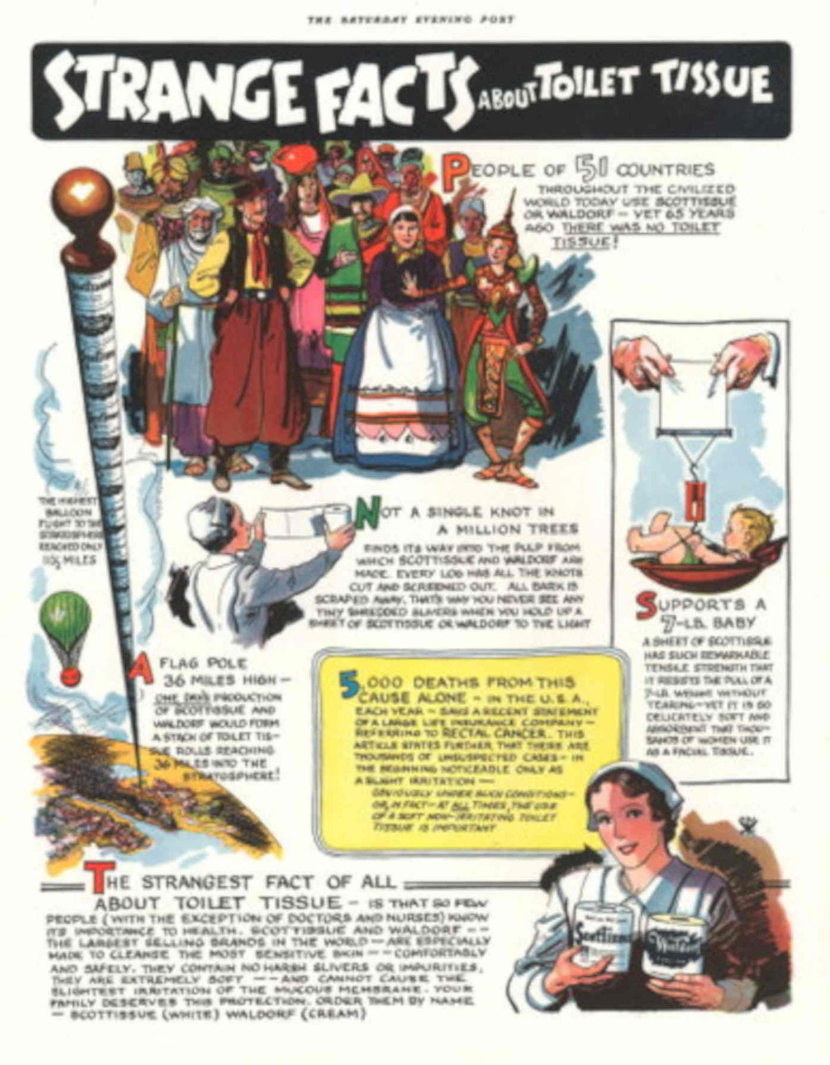 Toilet Tissue Facts 1950s Vintage Retro Advert Poster