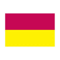 Tolima Dep Flag N4842 A4 Photo Print