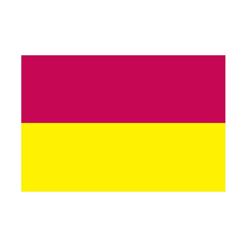 Tolima Dep Flag N4842 A4 Photo Print
