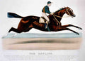 Tom Bowling Horse 001 Vintage A4 Photo Print