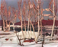 Tom Thomson april in algonquin park 1917 Art A4 Photo Print