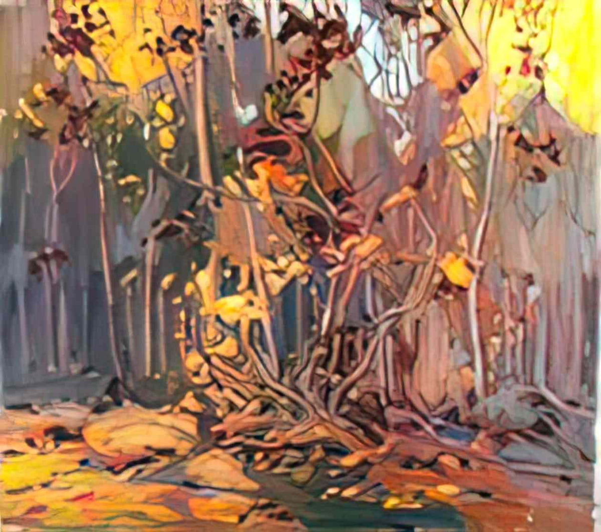 Tom Thomson maple saplings 1917 Art A4 Photo Print