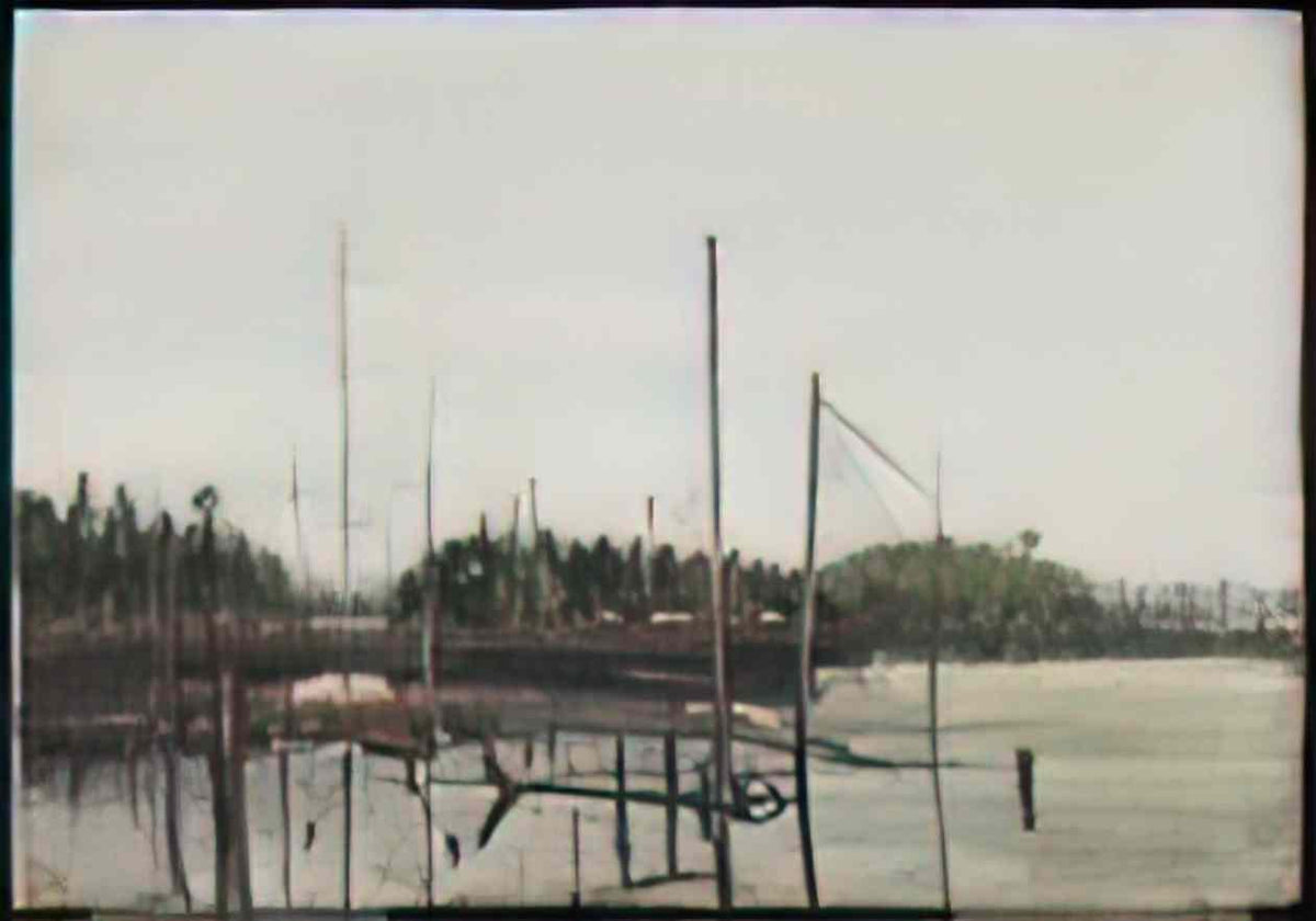 Tom Thomson thomson drowned land Art A4 Photo Print