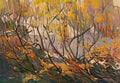 Tom Thomson tom thomson opulent october Art A4 Photo Print