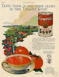 Tomato Soup Can 5 Vintage Retro Advert Ads A4 Photo Print