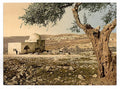 Tomb of Rachel Jerusalem Vintage A4 Photo Print
