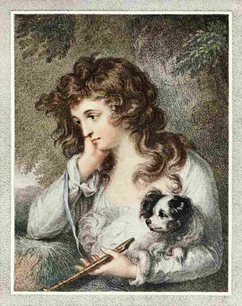 Tomkins Peltro W 1907 Maria A4 Photo Print