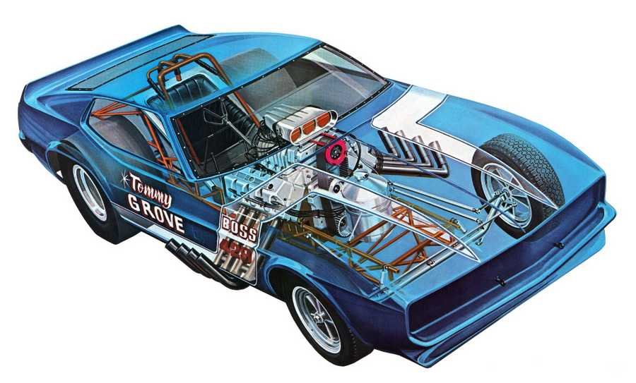 Tommy Grove cutaway A4 Photo Print