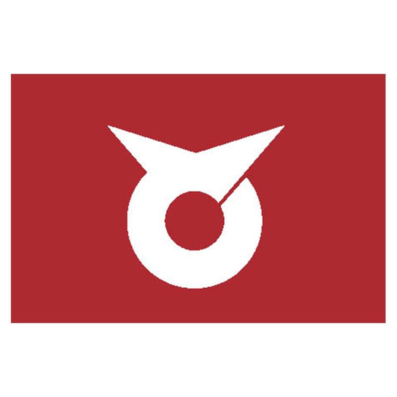 Tonami City Flag N2677 A4 Photo Print