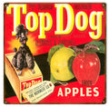 Top Dog Apples Vintage Retro Advert Ads A4 Photo Print