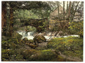 Torrent Walk I Dolgelly Vintage A4 Photo Print