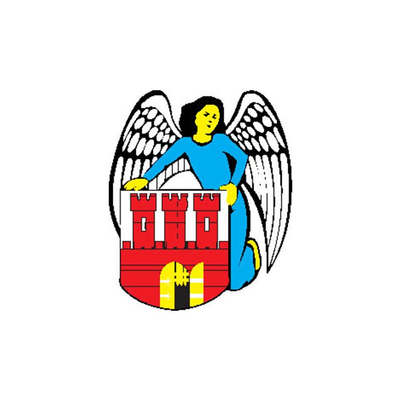 Torun City Coat Of Arms N6573 A4 Photo Print