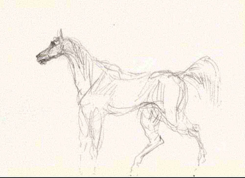Toulouse Lautrec Cheval 2 A4 Photo Print