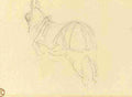 Toulouse Lautrec Cheval Recto A4 Photo Print