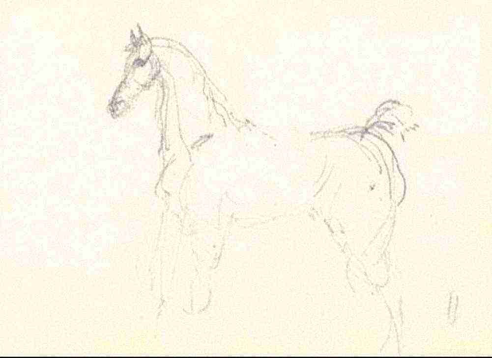 Toulouse Lautrec Cheval A4 Photo Print