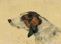 Toulouse Lautrec Chien De Chasse A4 Photo Print
