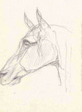 Toulouse Lautrec Tete De Cheval A4 Photo Print