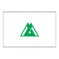 Toyama Pref N2626 A4 Photo Print